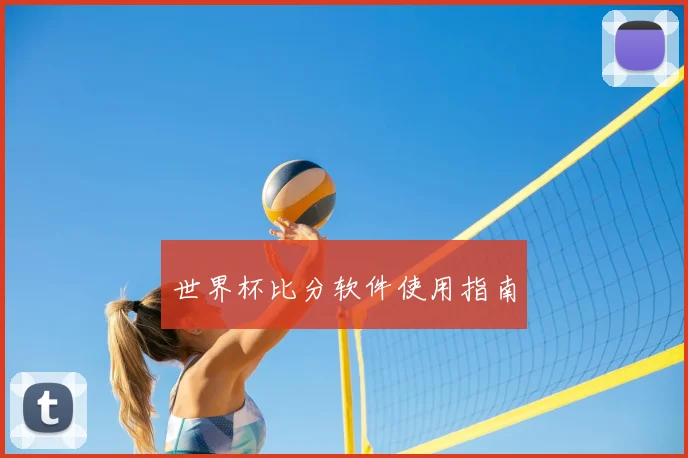 世界杯比分软件使用指南