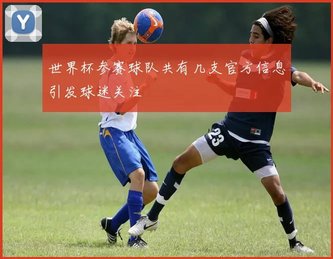世界杯参赛球队共有几支官方信息引发球迷关注