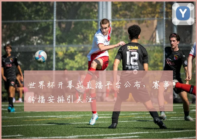 世界杯开幕式直播平台公布,赛事转播安排引关注