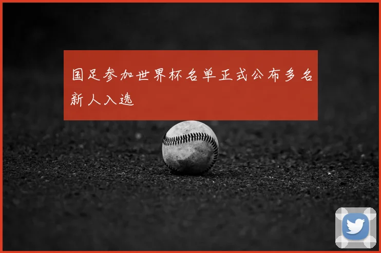 国足参加世界杯名单正式公布多名新人入选
