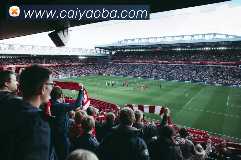 App Interface Preview